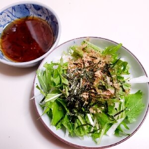 シャキシャキ水菜と大根のサラダ